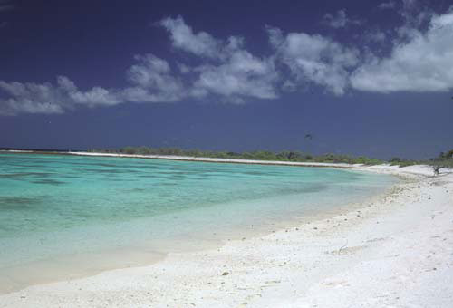 Vacanta in Kiritimati, Line Islands, vacante de vis, calatorie, insule si locuri de scufundat, top plaje de vis