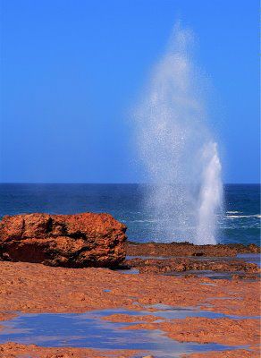Vacanta in Blow Holes, Tongatapu, vacante de vis, calatorie, insule si locuri de scufundat, top plaje de vis