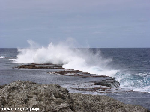 Vacanta in Blow Holes, Tongatapu, vacante de vis, calatorie, insule si locuri de scufundat, top plaje de vis