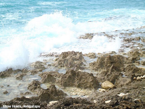 Vacanta in Blow Holes, Tongatapu, vacante de vis, calatorie, insule si locuri de scufundat, top plaje de vis
