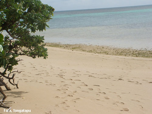 Vacanta in Fafa, Tongatapu, vacante de vis, calatorie, insule si locuri de scufundat, top plaje de vis