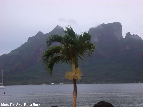 Vacanta in Motu Piti Aau, Bora Bora, vacante de vis, calatorie, insule si locuri de scufundat, top plaje de vis