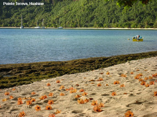 Vacanta in Pointe Tereva, Huahine, vacante de vis, calatorie, insule si locuri de scufundat, top plaje de vis