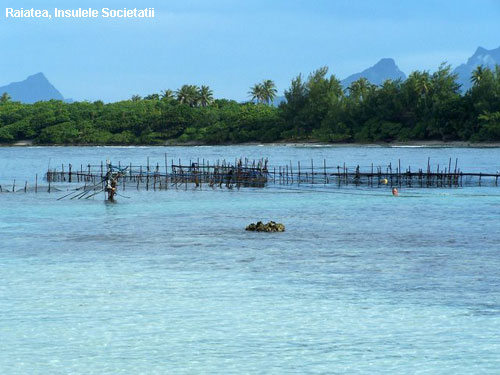 Vacanta in Raiatea, Insulele Societatii, vacante de vis, calatorie, insule si locuri de scufundat, top plaje de vis