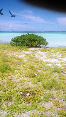 Vacanta in Tahiti, Insulele Societatii, vacante de vis, calatorie, insule si locuri de scufundat, top plaje de vis